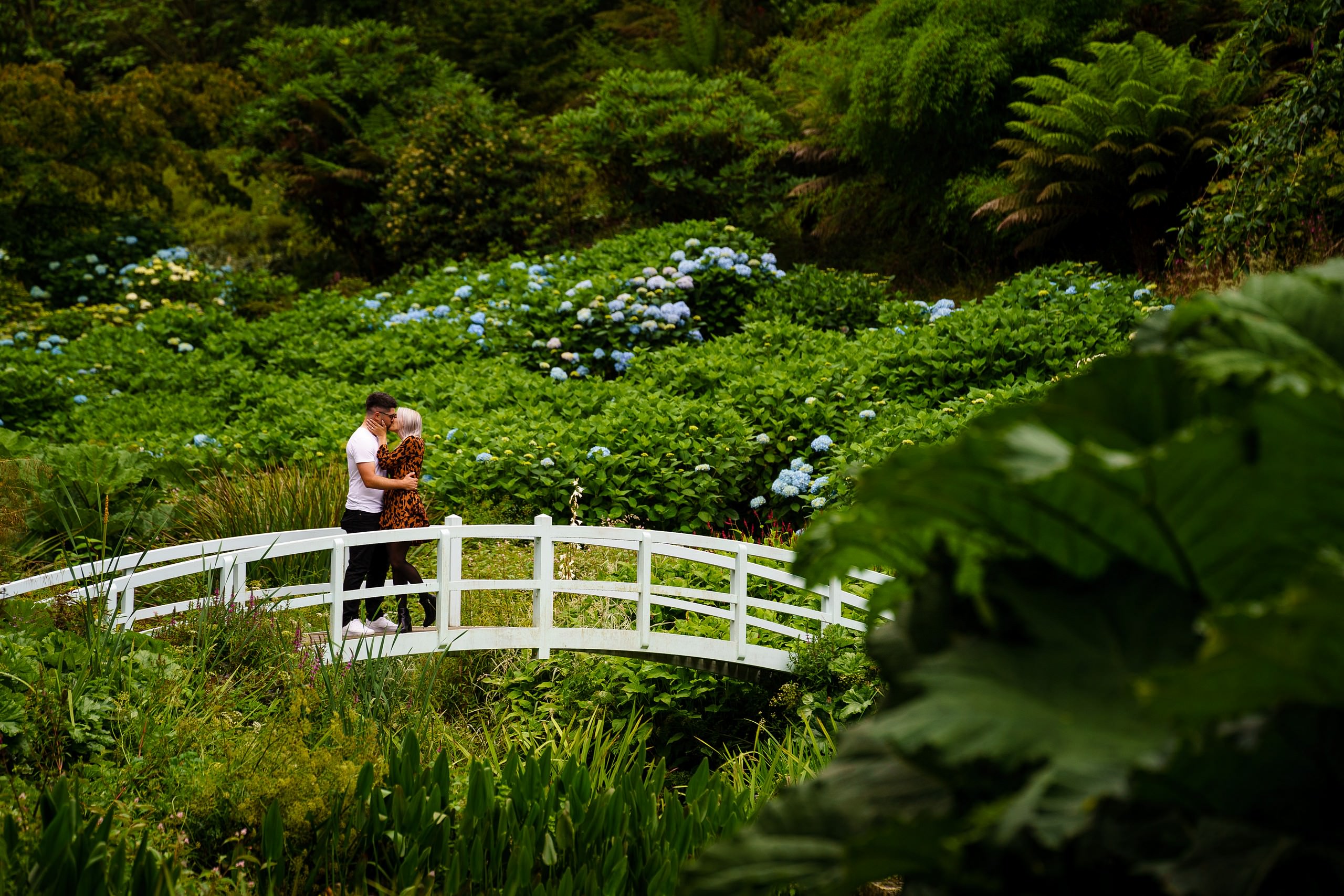 Romantic wedding proposal at Trebah Gardens 1