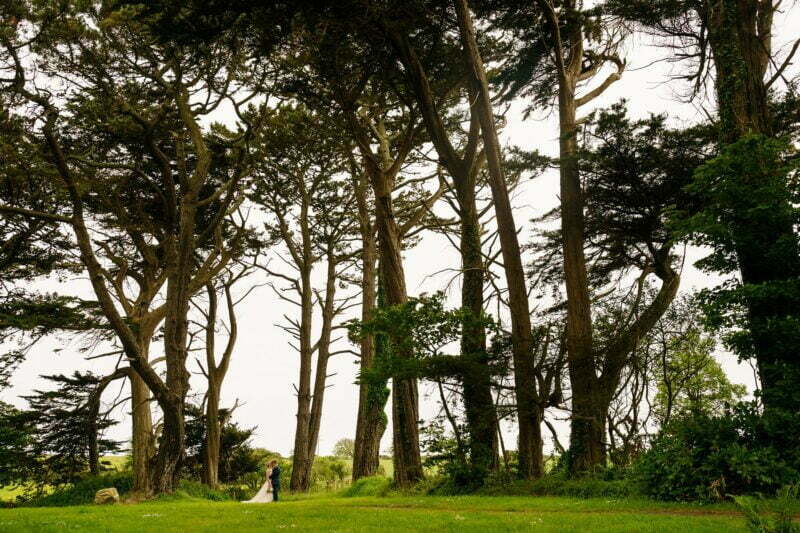 Cornish Camels Wedding Photographer 4 wedding photos at the cornish camels