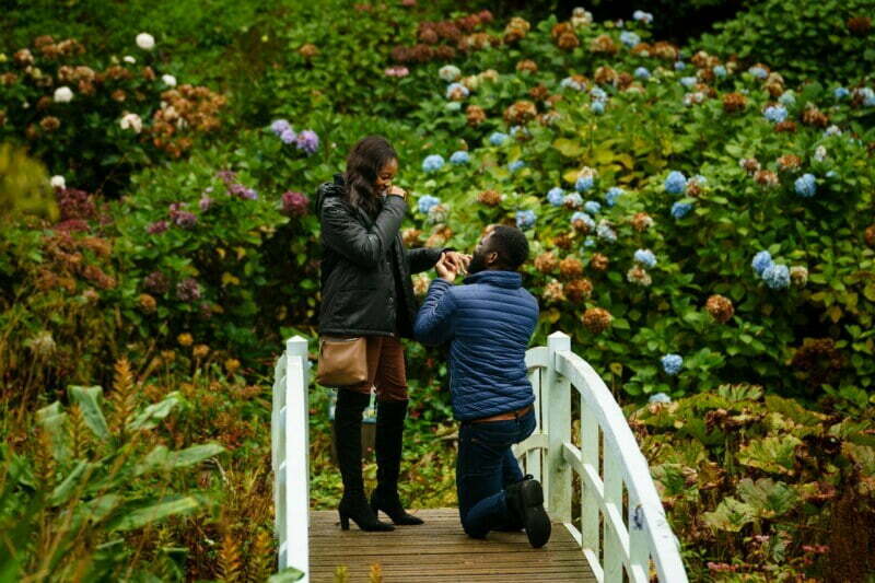 wedding proposal on the bridge at Trebah gardens