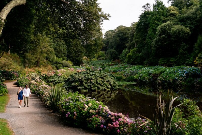 Top 10 places for a wedding proposal in Cornwall 23 summer proposal at trebah gardens